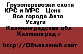 Грузоперевозки скота КРС и МРС › Цена ­ 45 - Все города Авто » Услуги   . Калининградская обл.,Калининград г.